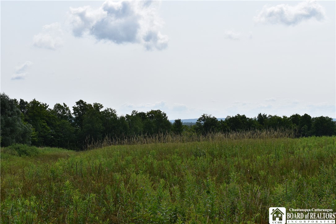 Foe Road, Dayton, New York image 33