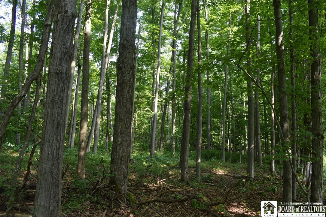 Foe Road, Dayton, New York image 15
