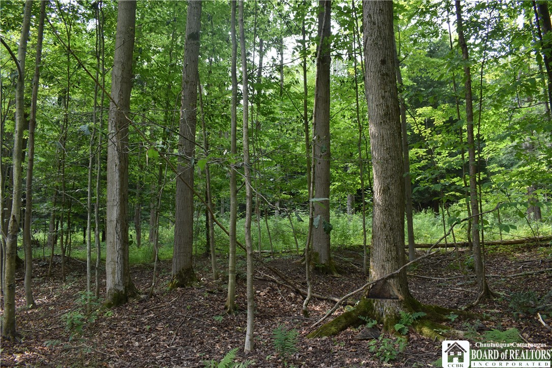 Foe Road, Dayton, New York image 30