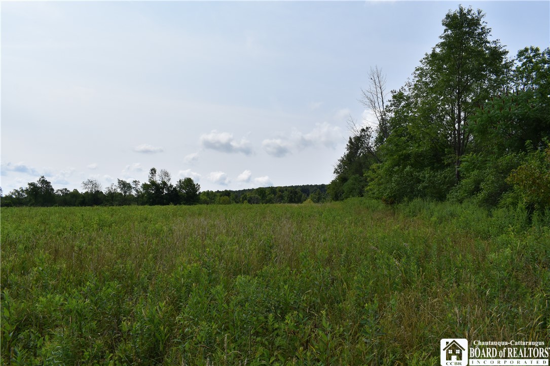 Foe Road, Dayton, New York image 39