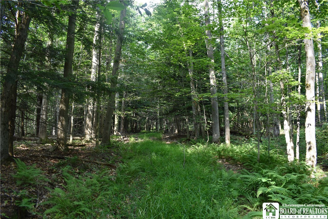 Foe Road, Dayton, New York image 22