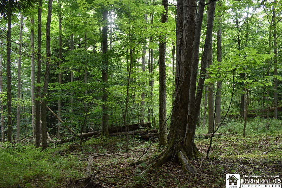 Foe Road, Dayton, New York image 37