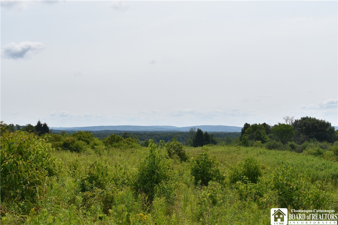 Foe Road, Dayton, New York image 3