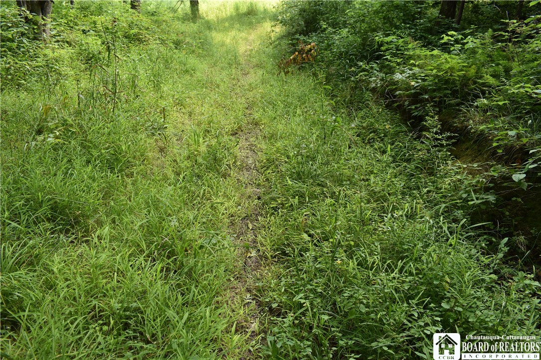 Foe Road, Dayton, New York image 13