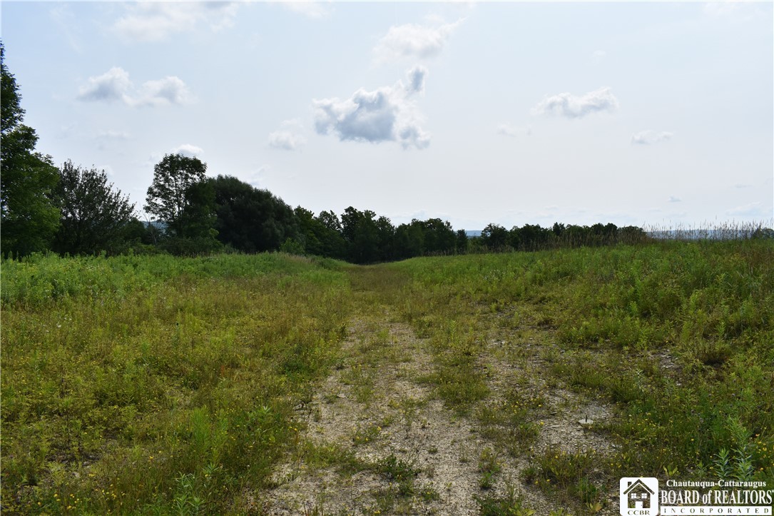 Foe Road, Dayton, New York image 10