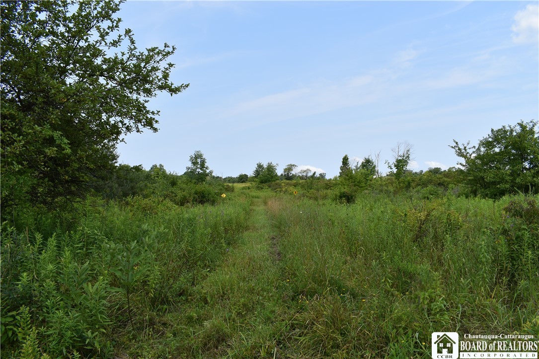 Foe Road, Dayton, New York image 43