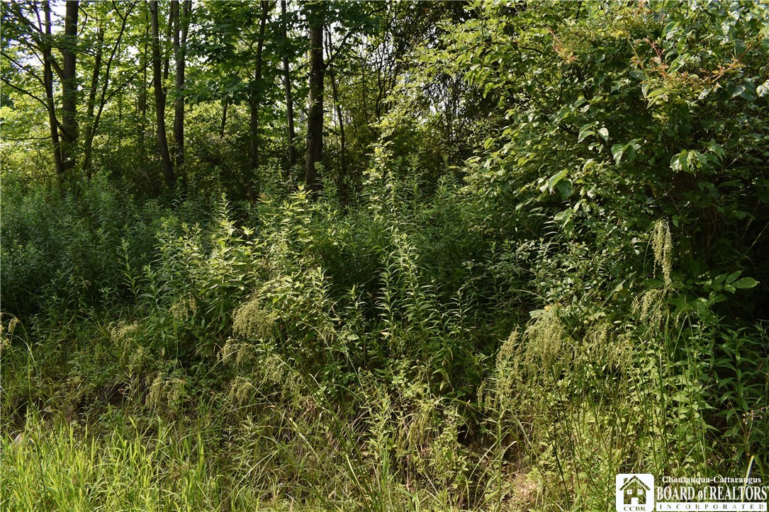 Foe Road, Dayton, New York image 12