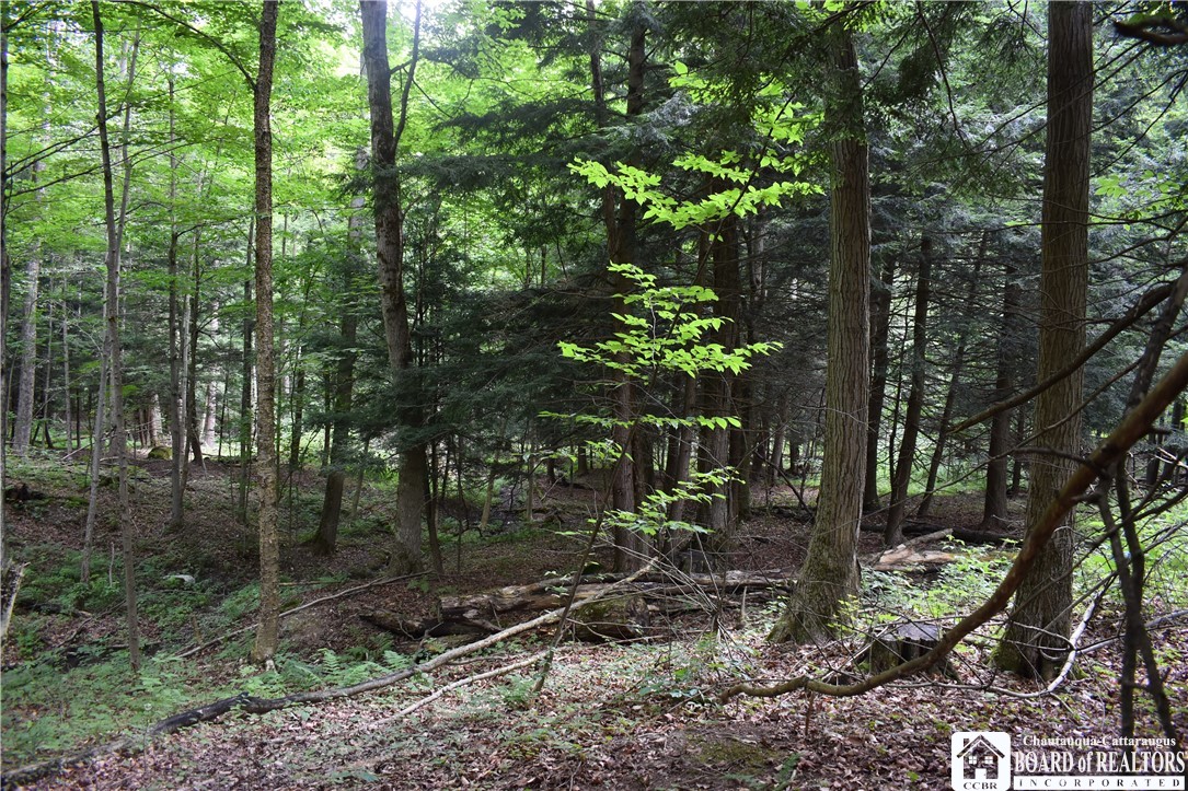 Foe Road, Dayton, New York image 42