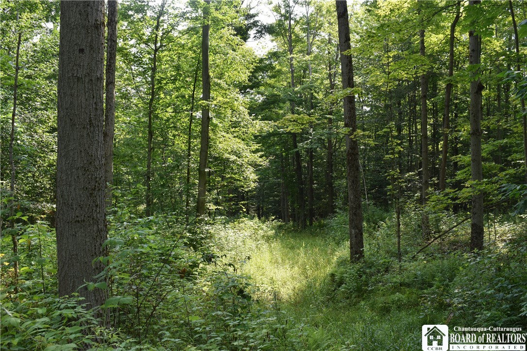 Foe Road, Dayton, New York image 11