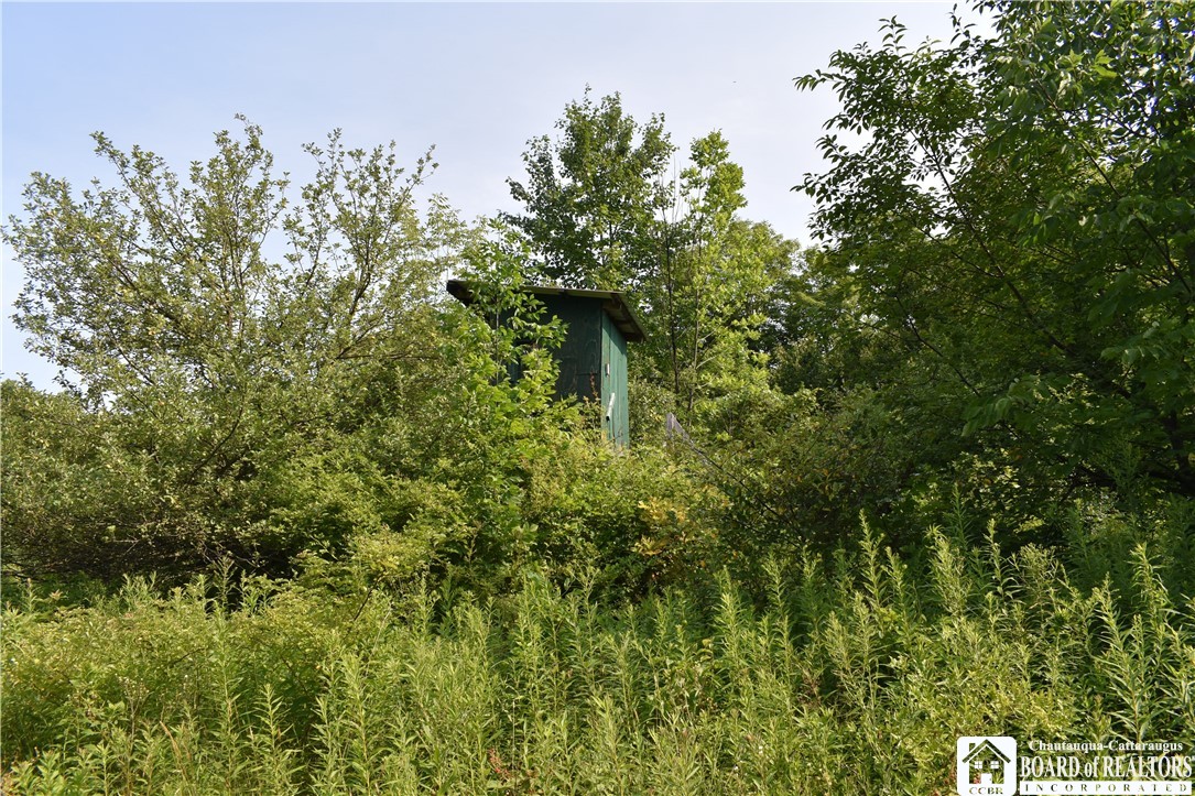 Foe Road, Dayton, New York image 7