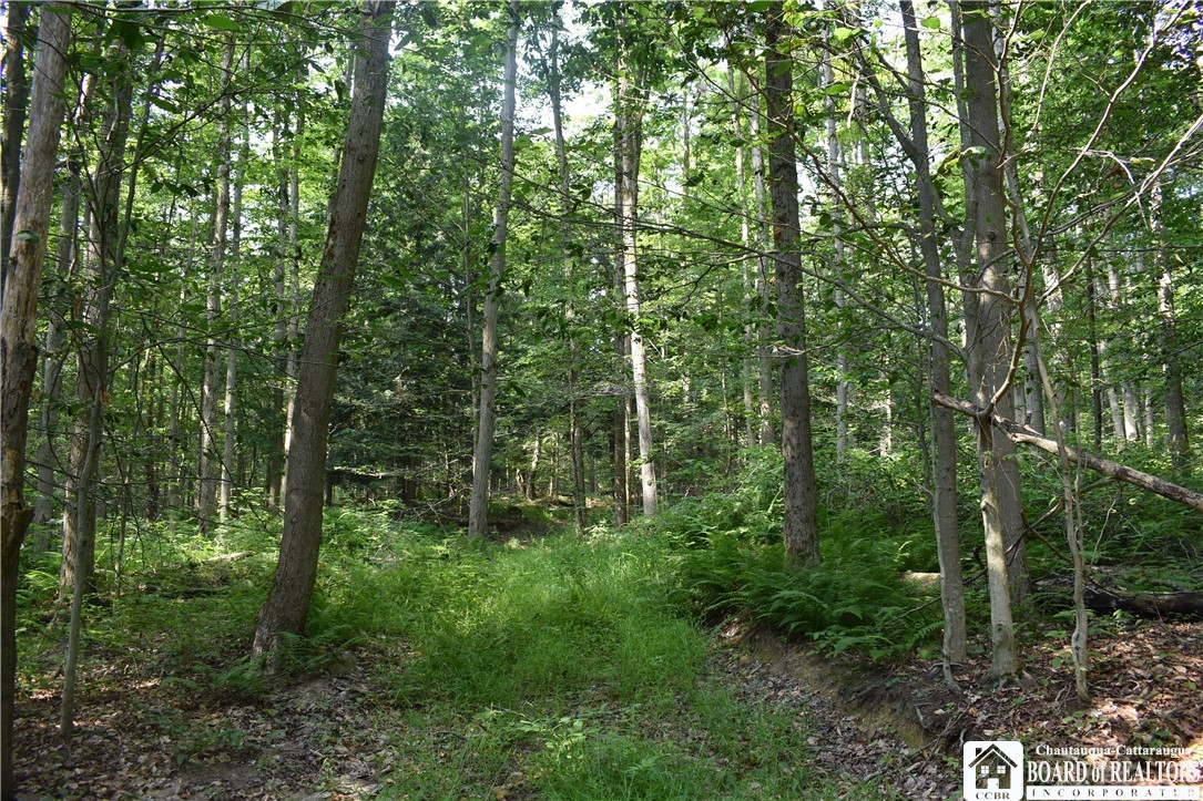 Foe Road, Dayton, New York image 29