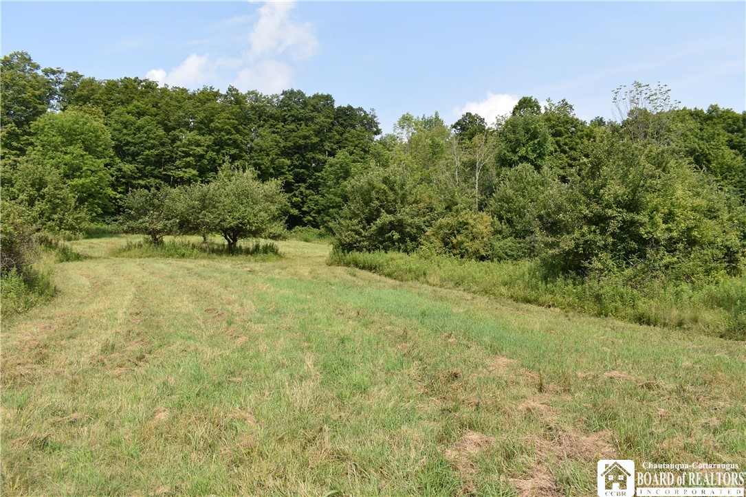 Foe Road, Dayton, New York image 16