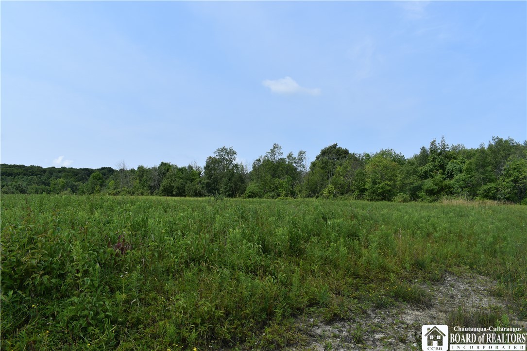 Foe Road, Dayton, New York image 36
