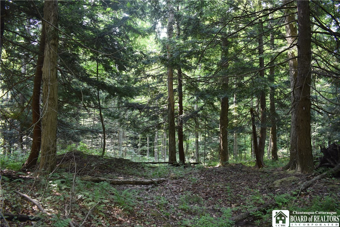 Foe Road, Dayton, New York image 14