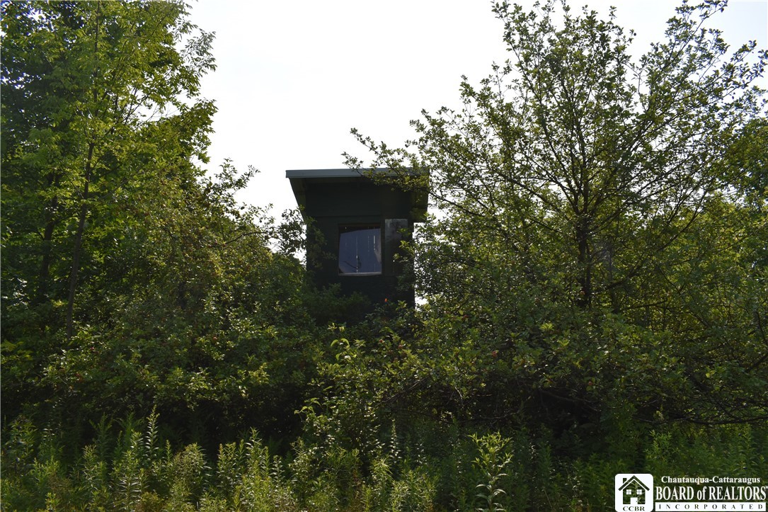 Foe Road, Dayton, New York image 6