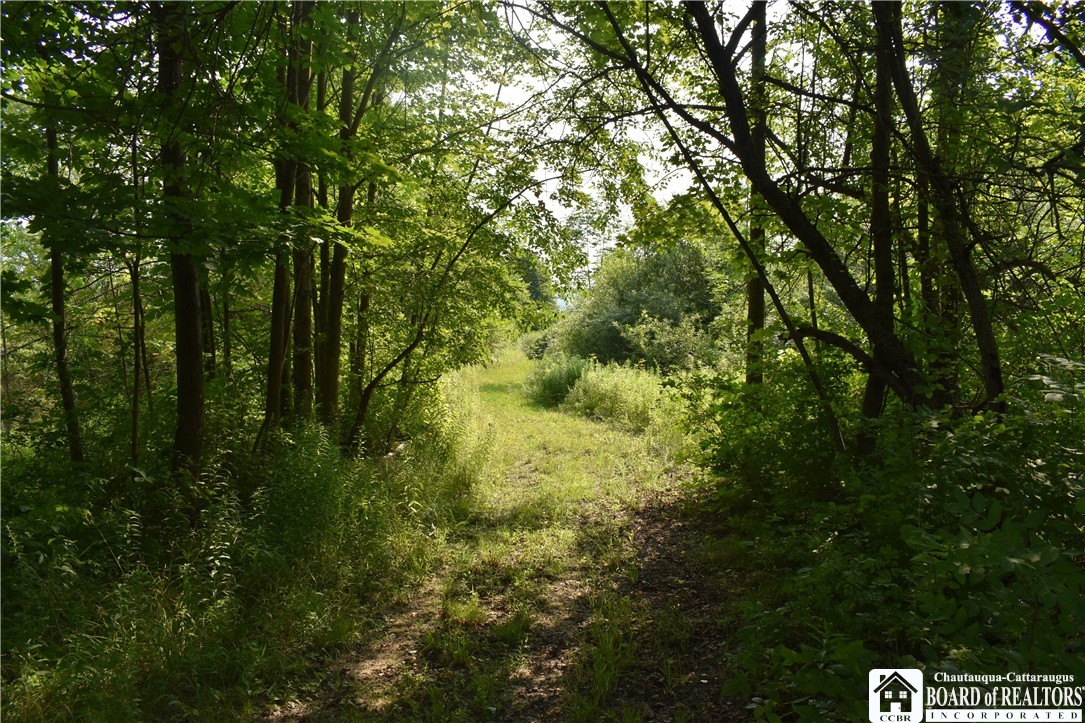 Foe Road, Dayton, New York image 17
