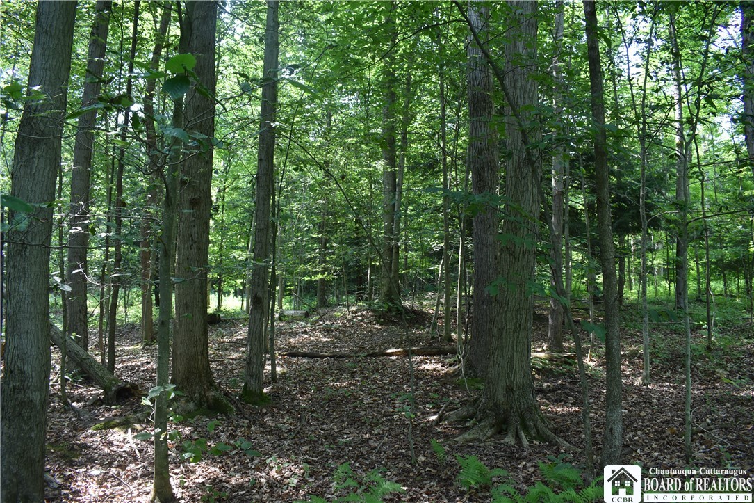 Foe Road, Dayton, New York image 35