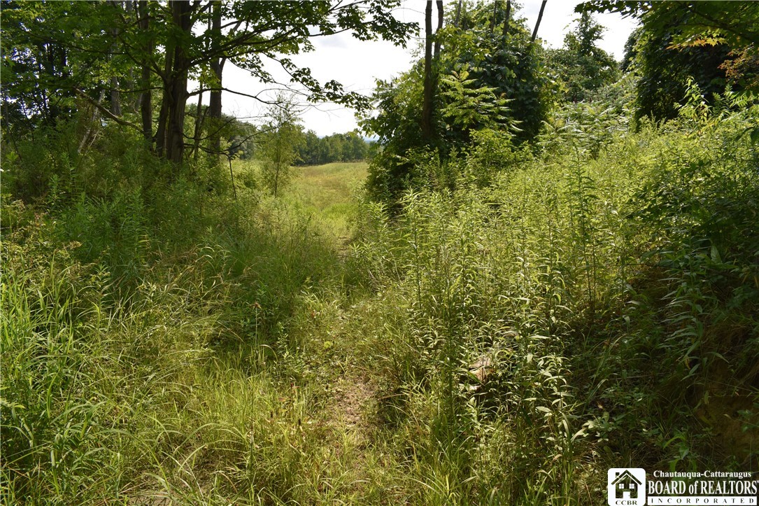 Foe Road, Dayton, New York image 28