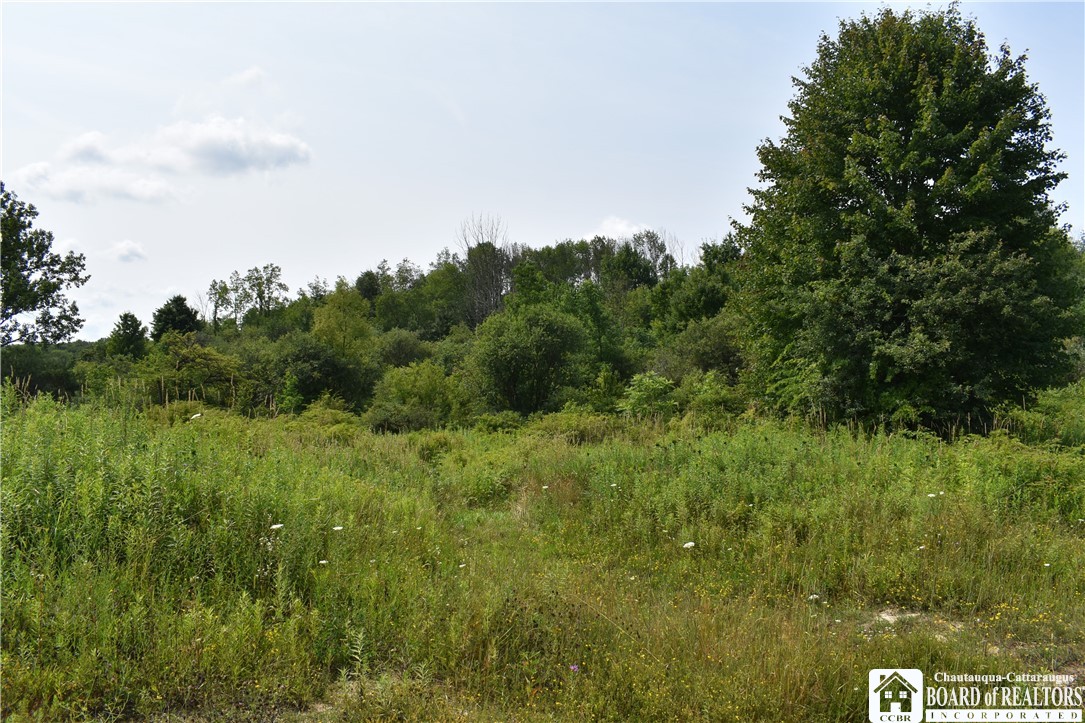 Foe Road, Dayton, New York image 8