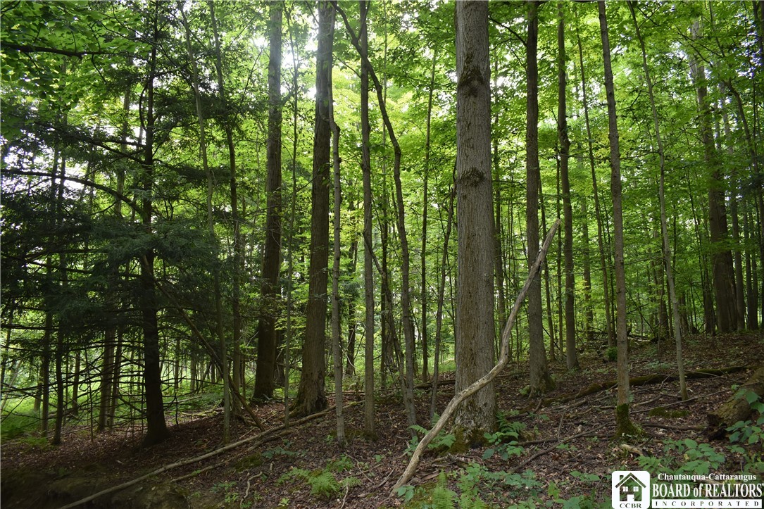 Foe Road, Dayton, New York image 18