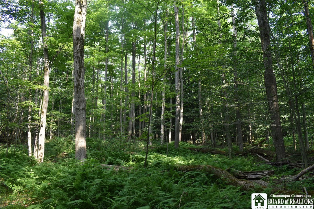 Foe Road, Dayton, New York image 27