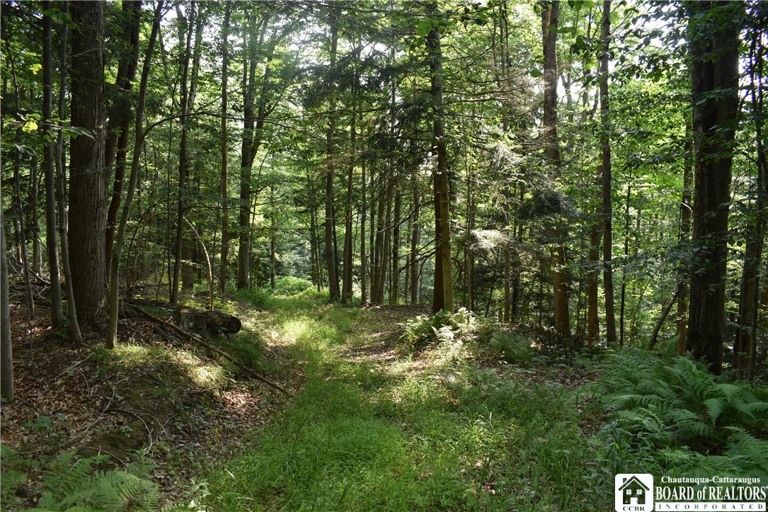 Foe Road, Dayton, New York image 23