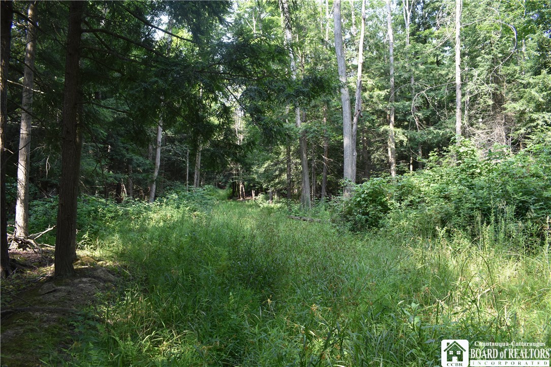 Foe Road, Dayton, New York image 32