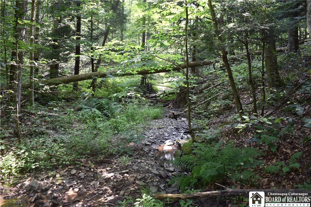 Foe Road, Dayton, New York image 19