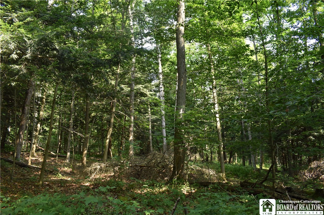 Foe Road, Dayton, New York image 20