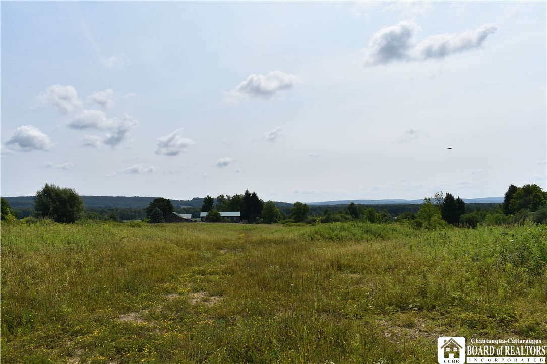 Foe Road, Dayton, New York image 44