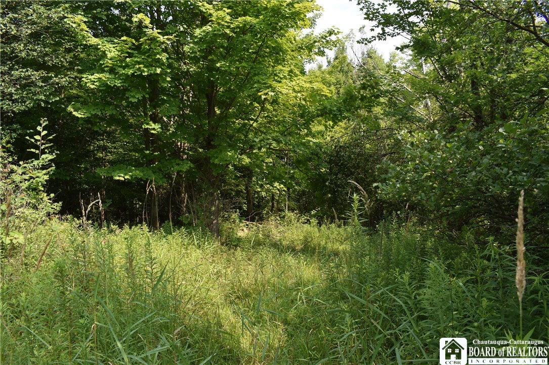 Foe Road, Dayton, New York image 31