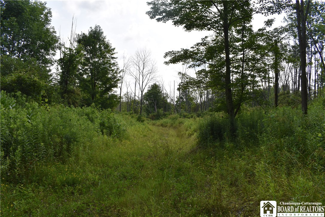 Foe Road, Dayton, New York image 38
