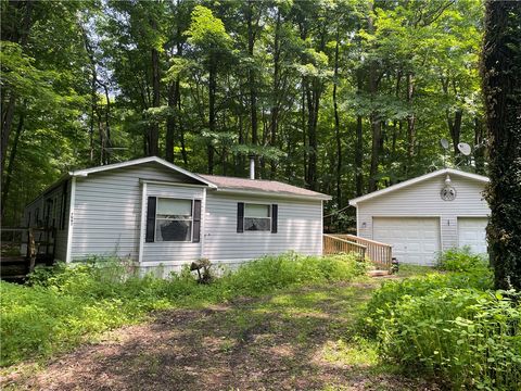 Homes For Sale - 7991 Rock River Road<br/> Seneca County, Ovid, NY 14847