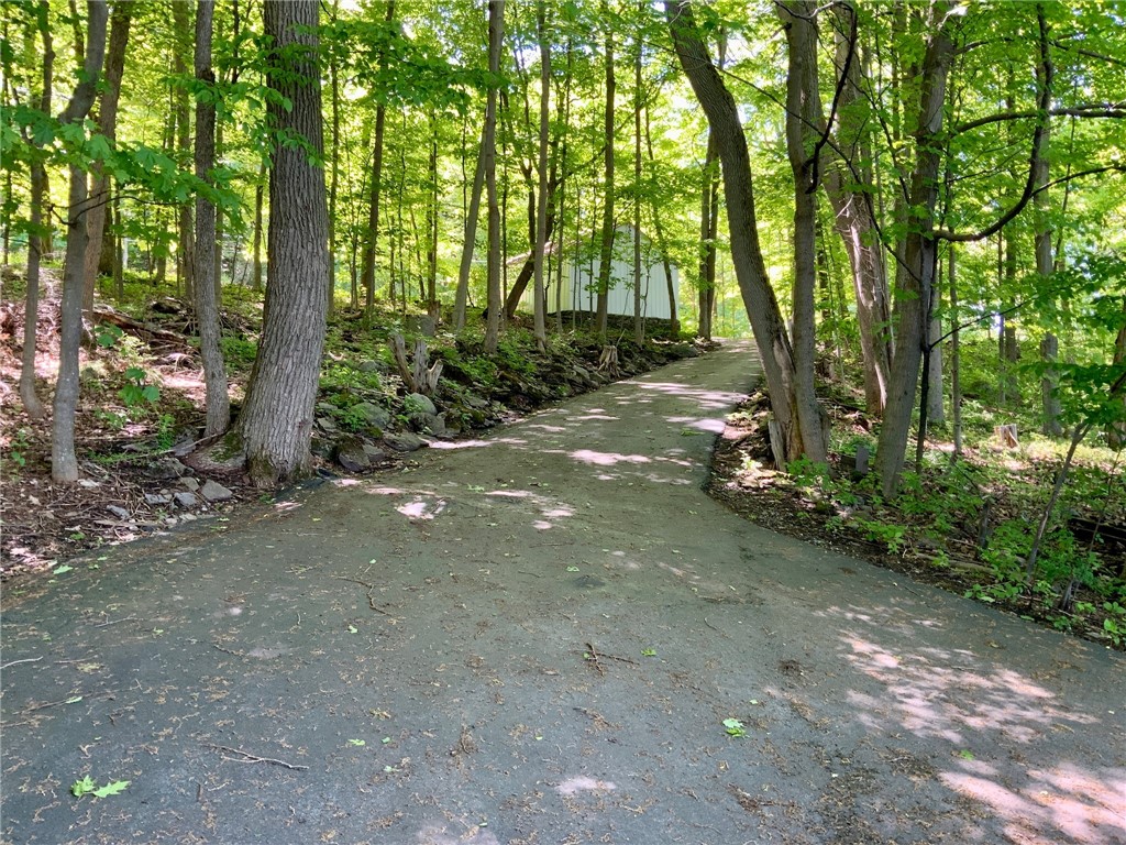 15178 Snowshoe Road, Henderson, New York image 49