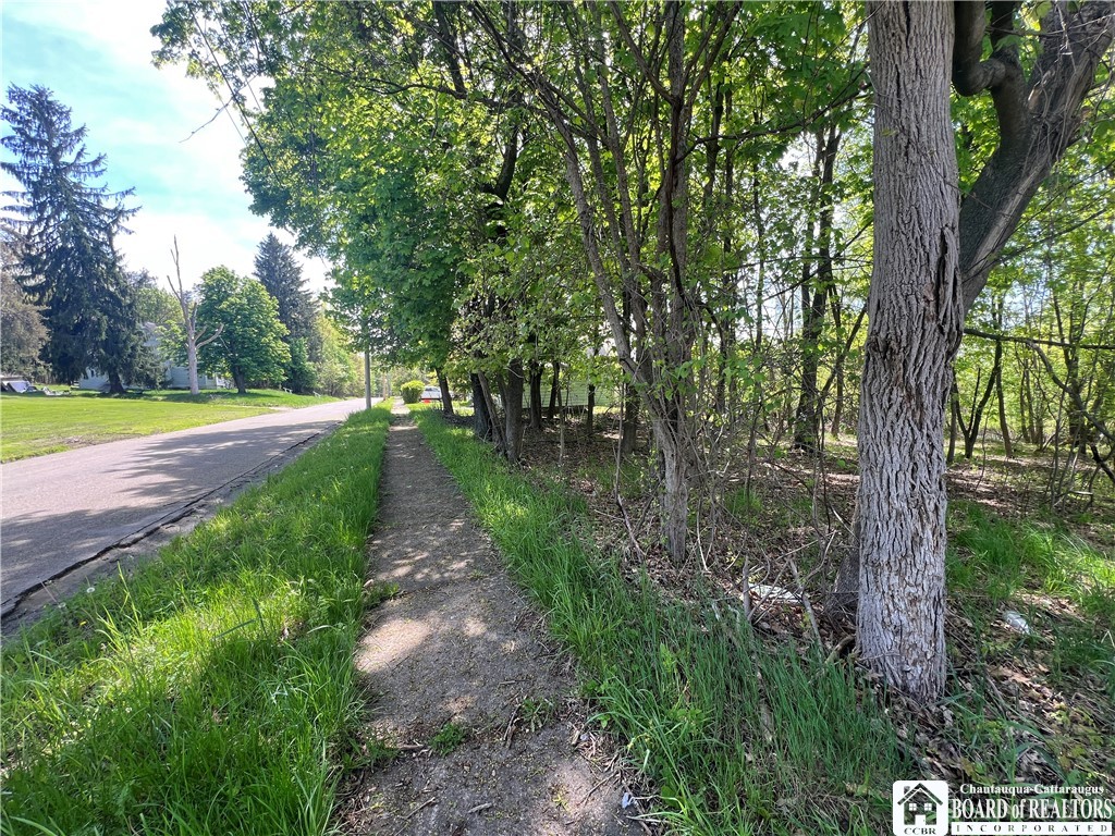 Bemus Street, Jamestown, New York image 5