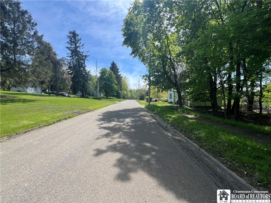 Bemus Street, Jamestown, New York image 6