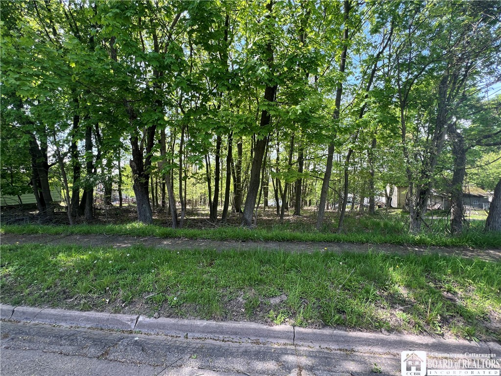 Bemus Street, Jamestown, New York image 1