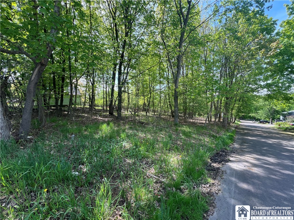 Bemus Street, Jamestown, New York image 4