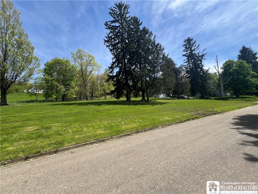 Bemus Street, Jamestown, New York image 8
