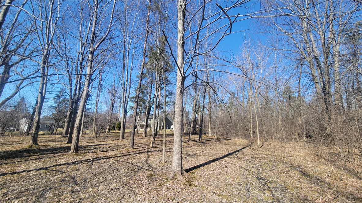Meadowbrook Parkway, Hamburg, New York image 2