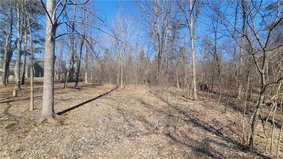 Meadowbrook Parkway, Hamburg, New York image 3