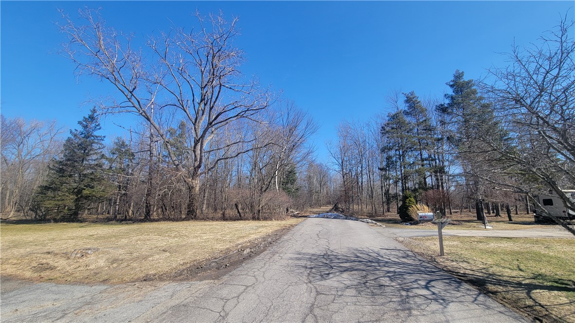 Meadowbrook Parkway, Hamburg, New York image 1