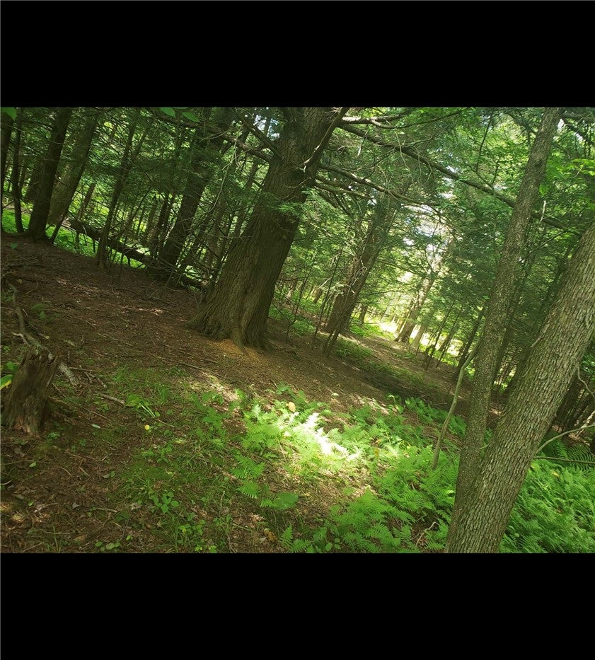 3239 Route 39