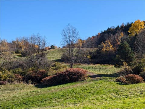 Photo for 0 Dunshee Hill Road