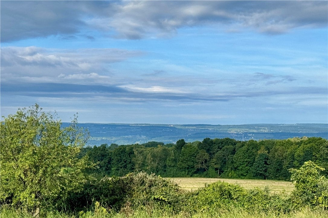 Lot 2 0 County Road 4