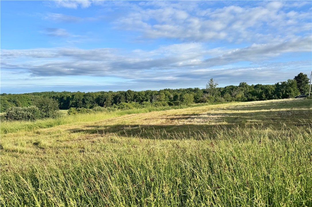 Lot 2 0 County Road 4