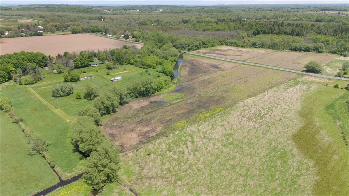 VL West S Centenary Road, Sodus, New York image 9