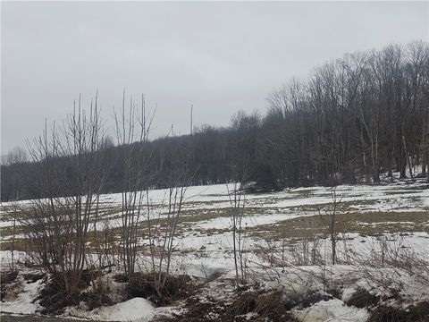 Thornton Road Cherry Creek NY 14723