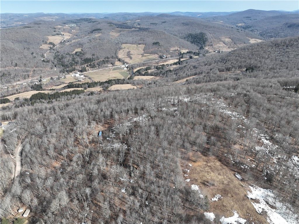 Photo of Huska Road, Delhi, NY 13753 (MLS # R1668881)