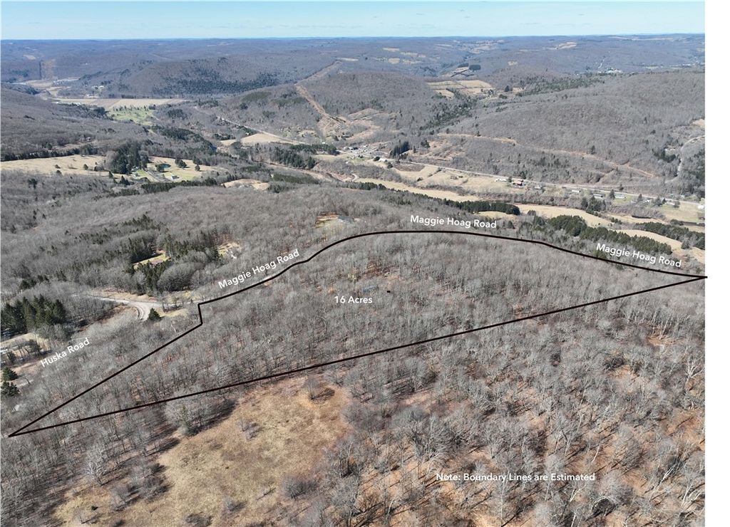 Photo of Huska Road, Delhi, NY 13753 (MLS # R1668881)